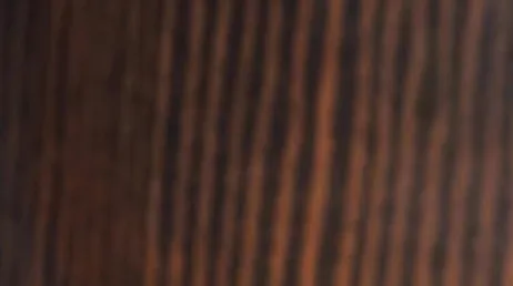 Chanel Preston försöker analsex med en fet mulattkuk