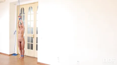 Son maître rentre à la maison avec envie d'une pipe et d'une baise hard...