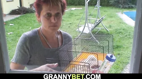 De gepensioneerde buurvrouw laat haar de hamster achter om voor te zorgen...