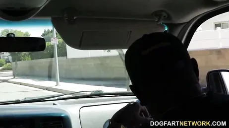 Sie halfen ihr, nach Hause zurückzukehren, aber sie wollten es nicht umsonst tun ...