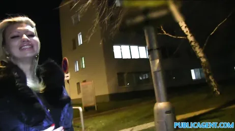 Il trouve un travesti dans la rue et lui propose beaucoup d'argent pour baiser