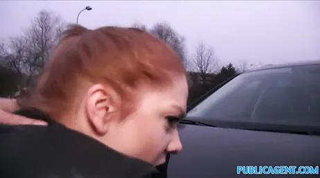 Redhead ger mig en bra avsugning i parken i utbyte mot €50