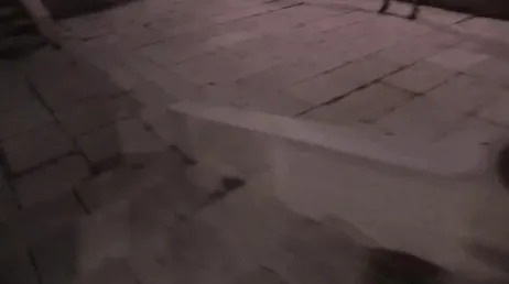Ela se masturba na rua, correndo o risco de ser pega!