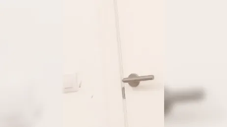 Cabeleireiro espanhol larga a tesoura e gosta de galos
