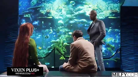 Se meten mano delante del acuario del zoo y acaban follando como locos